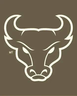Buffalo Bulls Miami