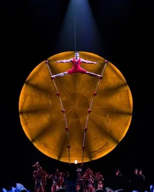 Cirque Du Soleil - Luzia Hallandale