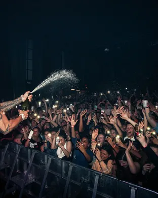 Dj Pauly D Hollywood