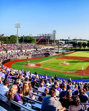 East Carolina Pirates Baseball Boca Raton