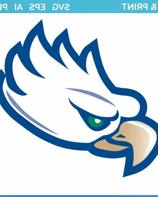 Florida Gulf Coast Eagles Fort Myers