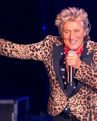 Rod Stewart Hollywood
