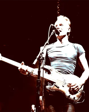 Sting Hollywood