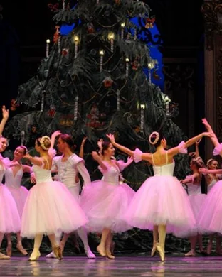 Georgian National Ballet Fort Lauderdale