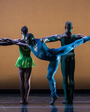 Dimensions Dance Theatre of Miami Miami